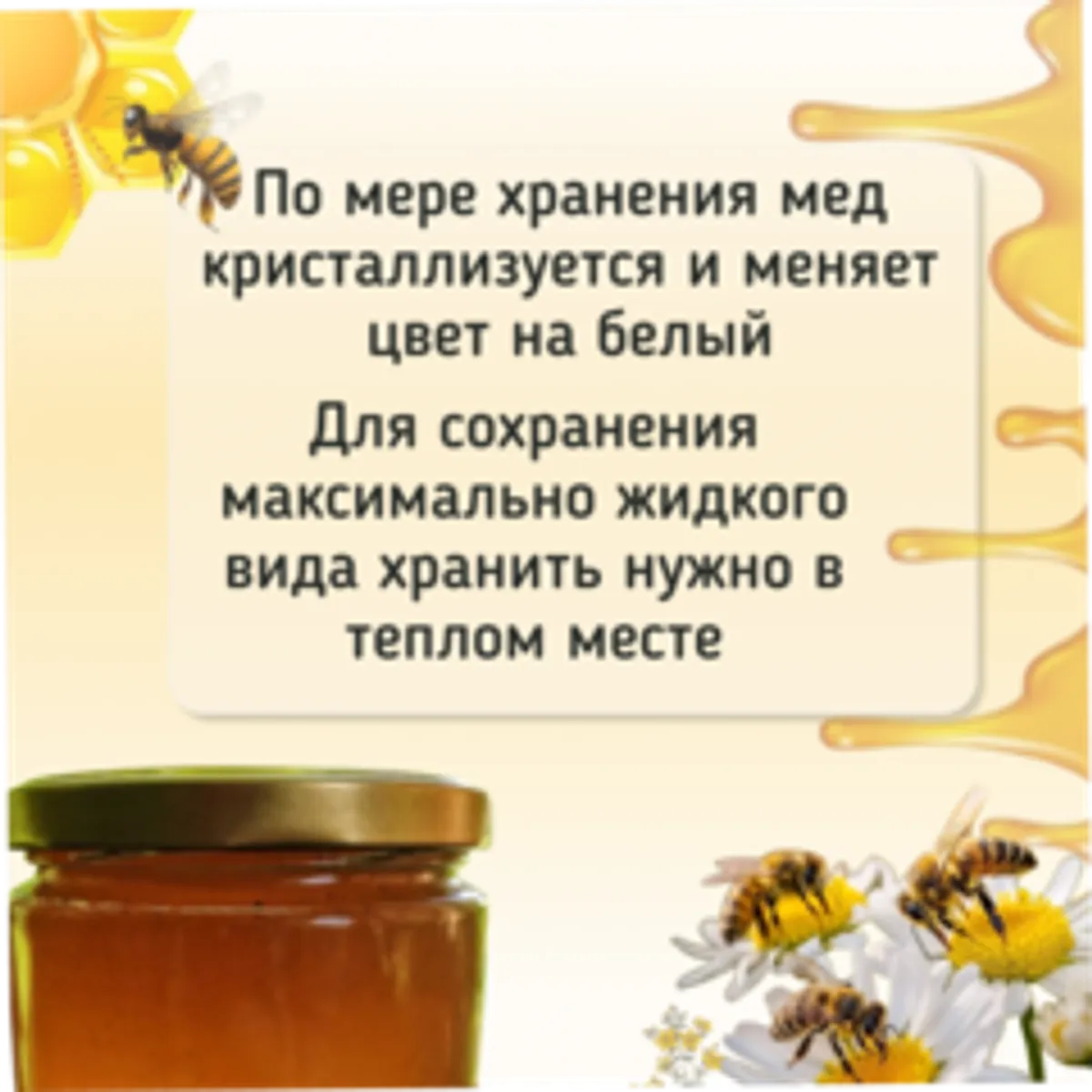 Мед Донниковый / 1,2 кг