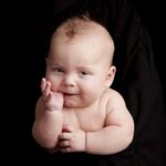 Lastolite LB8020