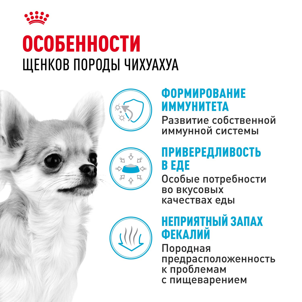 Royal Canin Chihuahua Puppy Чихуахуа Паппи Корм сухой для щенков породы Чихуахуа до 8 месяцев 500г