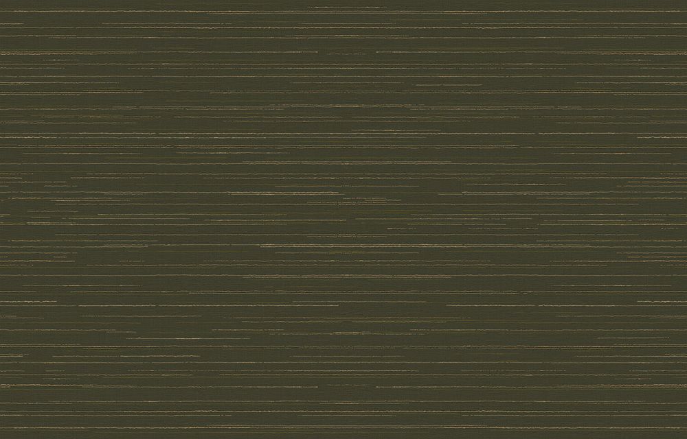 Amazonia / Амазония