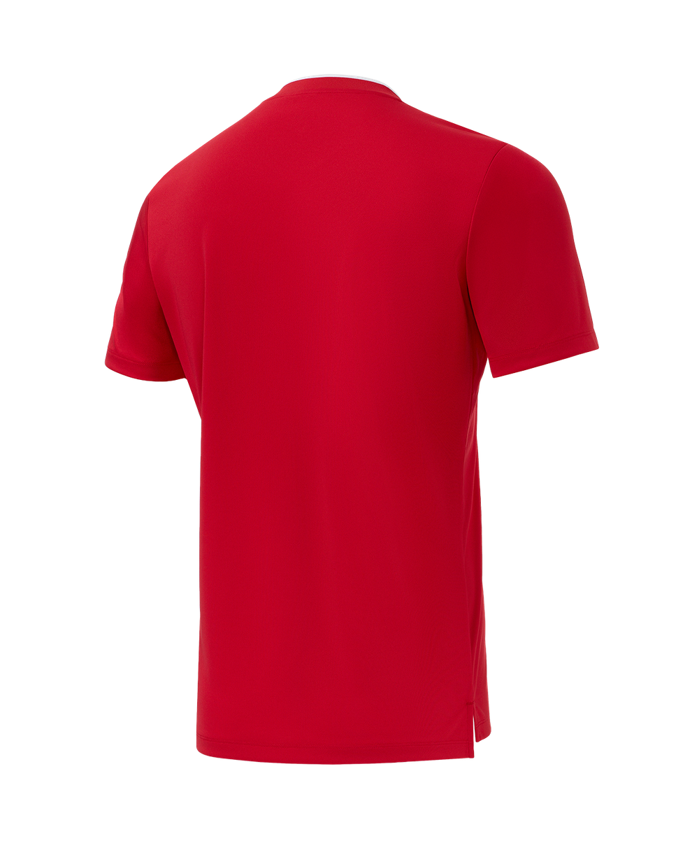 Футболка игровая Jogel DIVISION PerFormDRY Union Jersey-K, красный R2