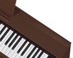 Casio PX-870