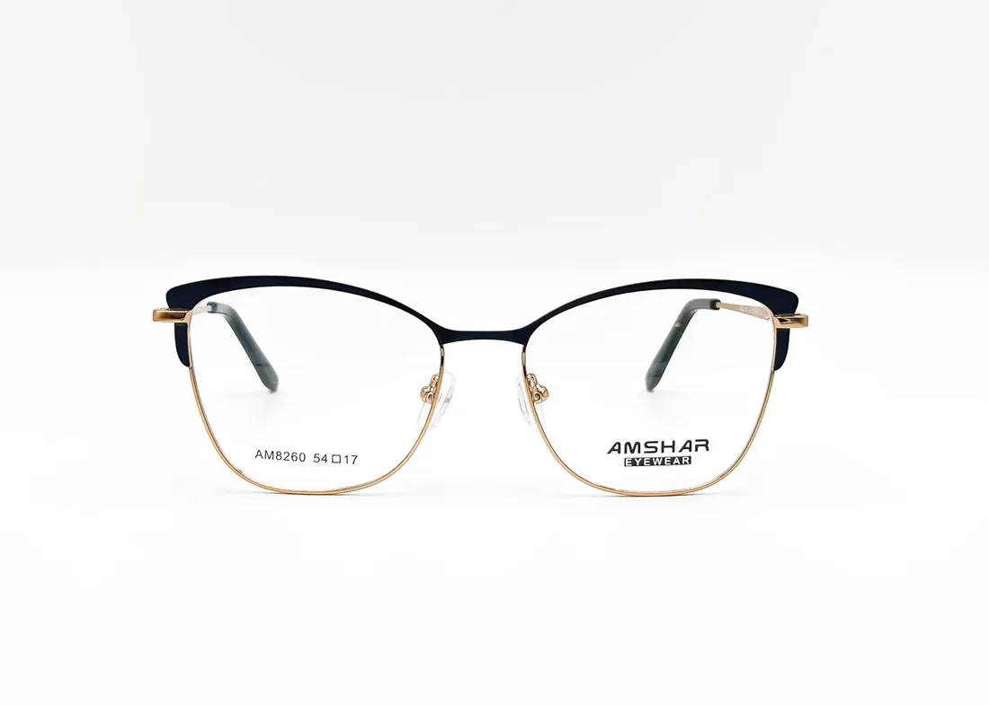 Изг. оправы Amshar AM8260 C6