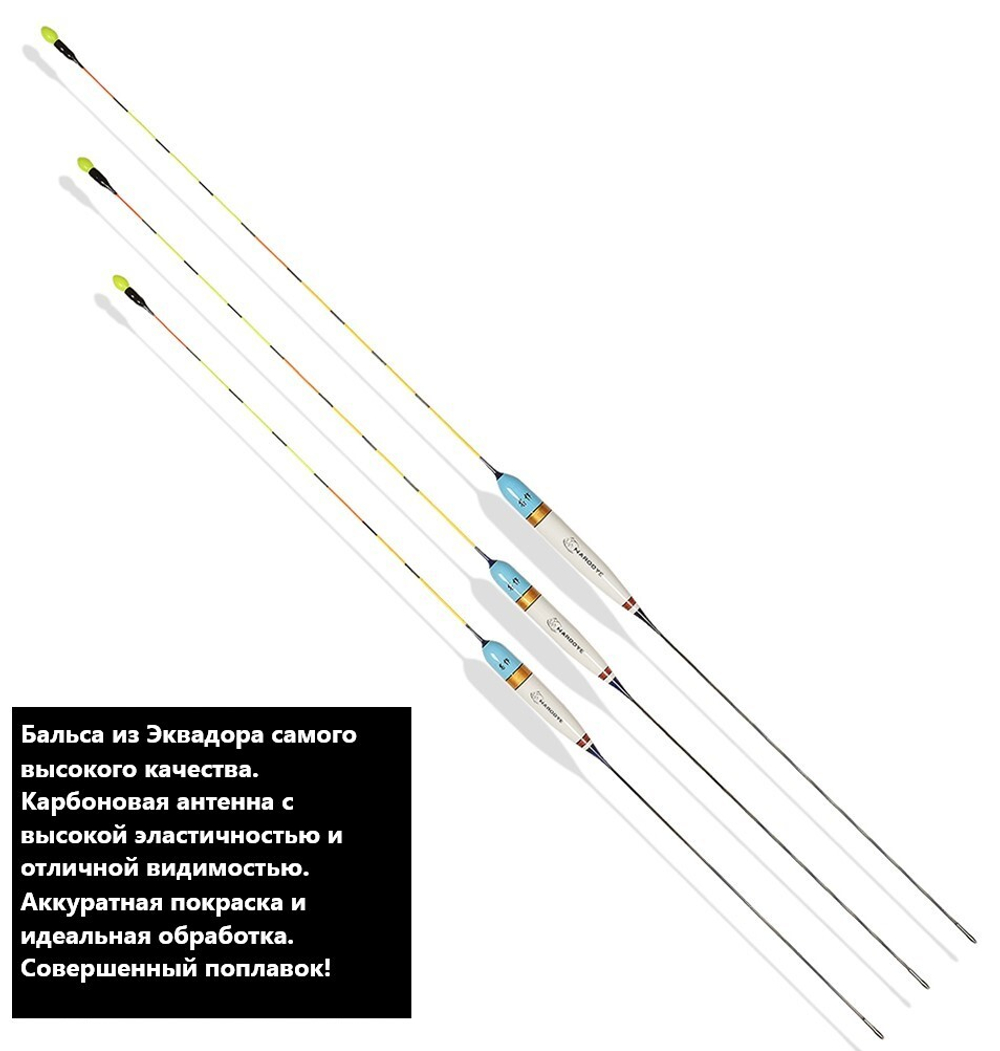 ЗЕВС carbon conical
