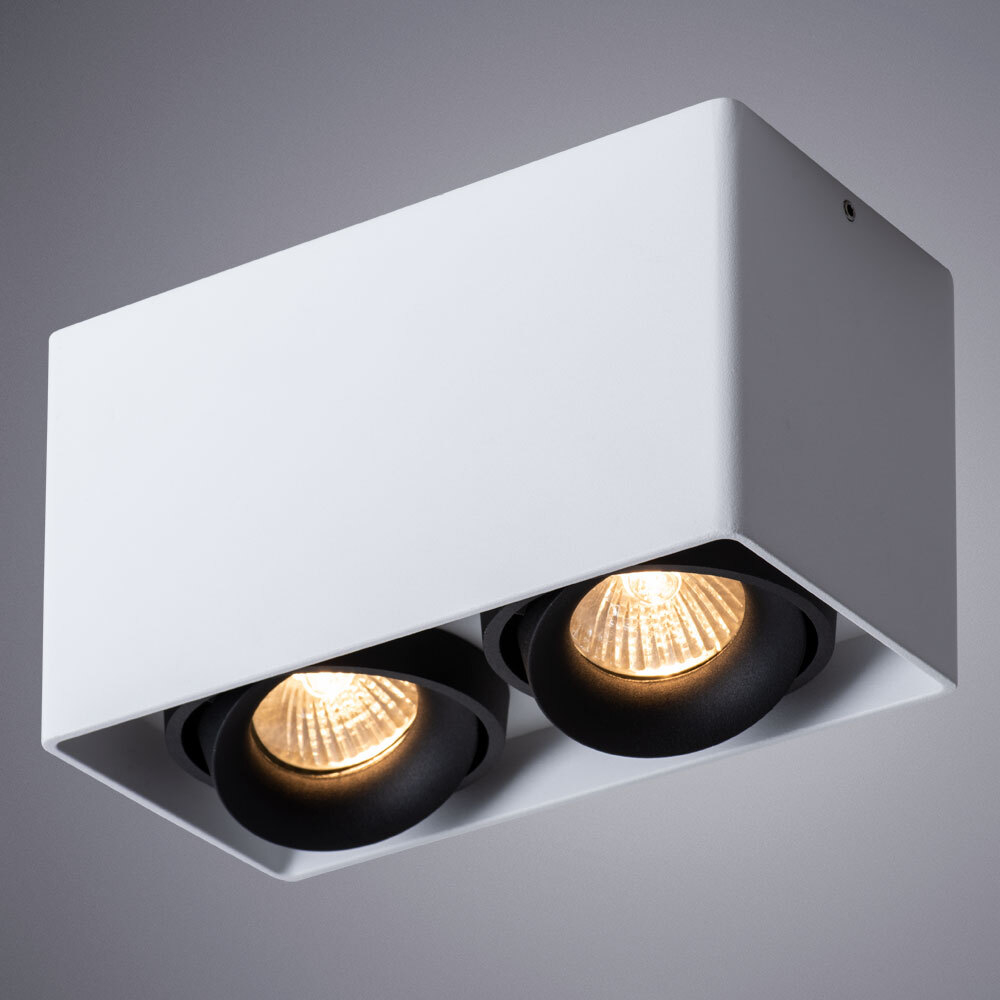 Светильник потолочный Arte Lamp Pictor A5654PL-2WH