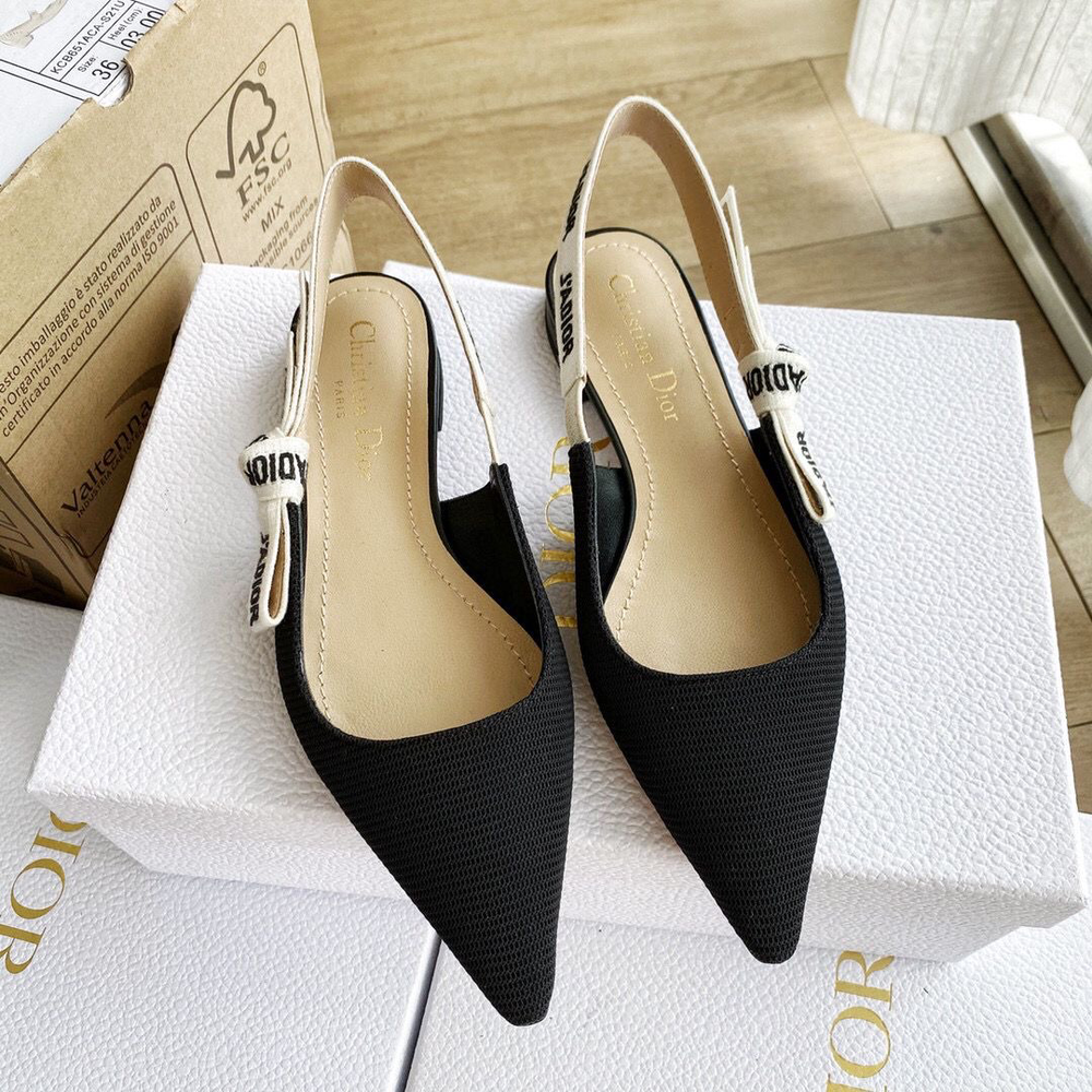Балетки Christian Dior