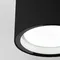 Потолочный светильник уличный Light 35144/H черный Elektrostandard