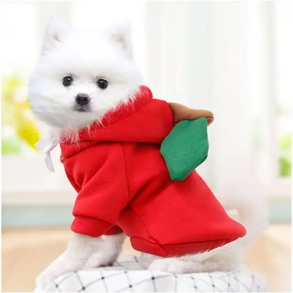 Кофта-толстовка для собаки «Wonderful style-Яблоко» с капюшоном, размер 2XL (62*45*26см) Ultramarine