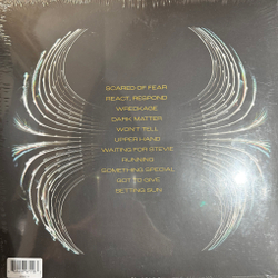 Виниловая пластинка Pearl Jam ‎– Dark Matter 2LP