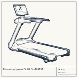 Беговая дорожка SHUA SH-T8919T — от 446 000 ₽