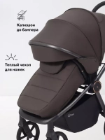 Коляска 2 в 1 Rant Flex Soft Therm
