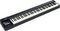 ROLAND A-88