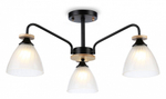 Люстра на штанге Ambrella Light TR TR9564