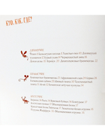 Удивительные уши
