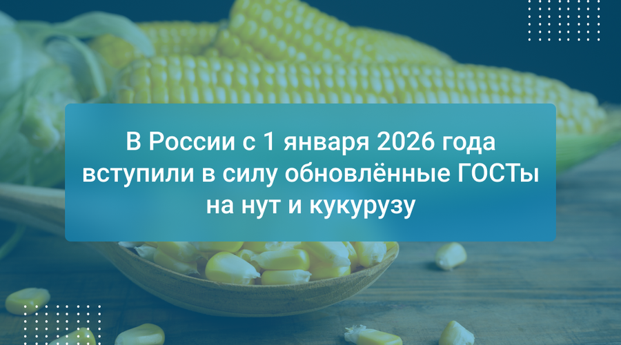 В России с 1 января 2026 года вступили в силу обновлённые ГОСТы на нут и кукурузу