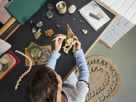Конструктор LEGO Jurassic World 76969 Окаменелости динозавра: Череп трицератопса