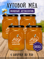 Мёд натуральный луговой набор (4 банки по 950 г), 3800 г