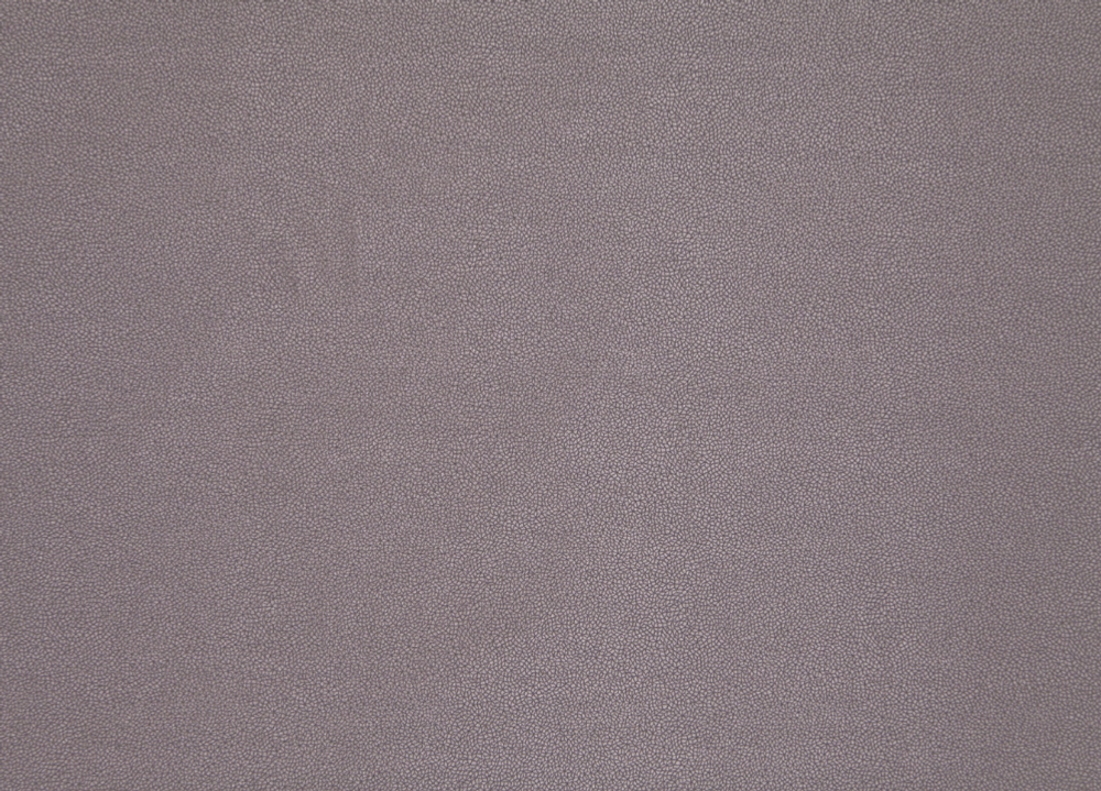 Микровелюр Elari (Элари) 3