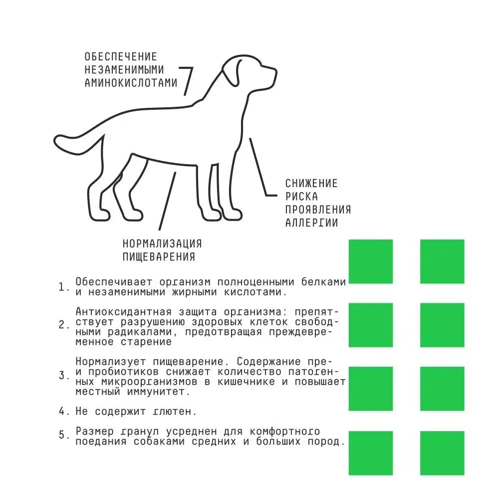 AJO (Айо) Dog Hypoallergenic Сухой полнорационный корм с гречкой для взрослых собак средних и крупных пород, склонных к аллергиям, 2 кг
