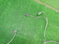 DSCN9454.JPG