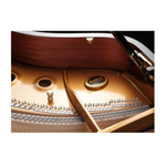 Kawai GX-2H