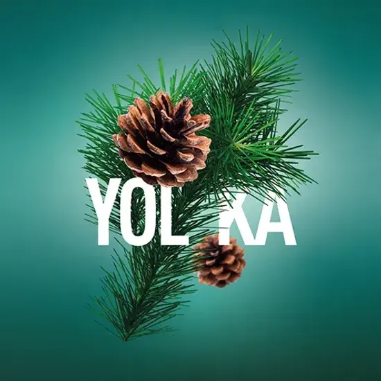 Musthave (Yolka), 25 гр.