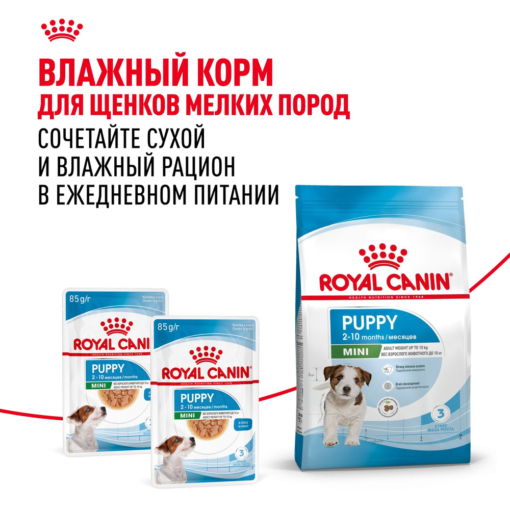 Royal Canin Mini Puppy Мини Паппи Корм сухой для щенков мелких пород в возрасте до 10 месяцев 2кг