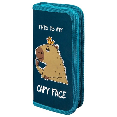 Пенал ПИФАГОР, 1 отделение, ламинированный картон, 19х9 см, Capy face,