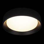 Накладной светильник Loft it Coin 10202 BB
