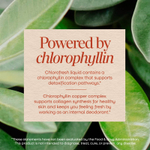 Nature's Way, Chlorofresh®, жидкий хлорофилл, мята, 480 мл (16 жидк. унций)