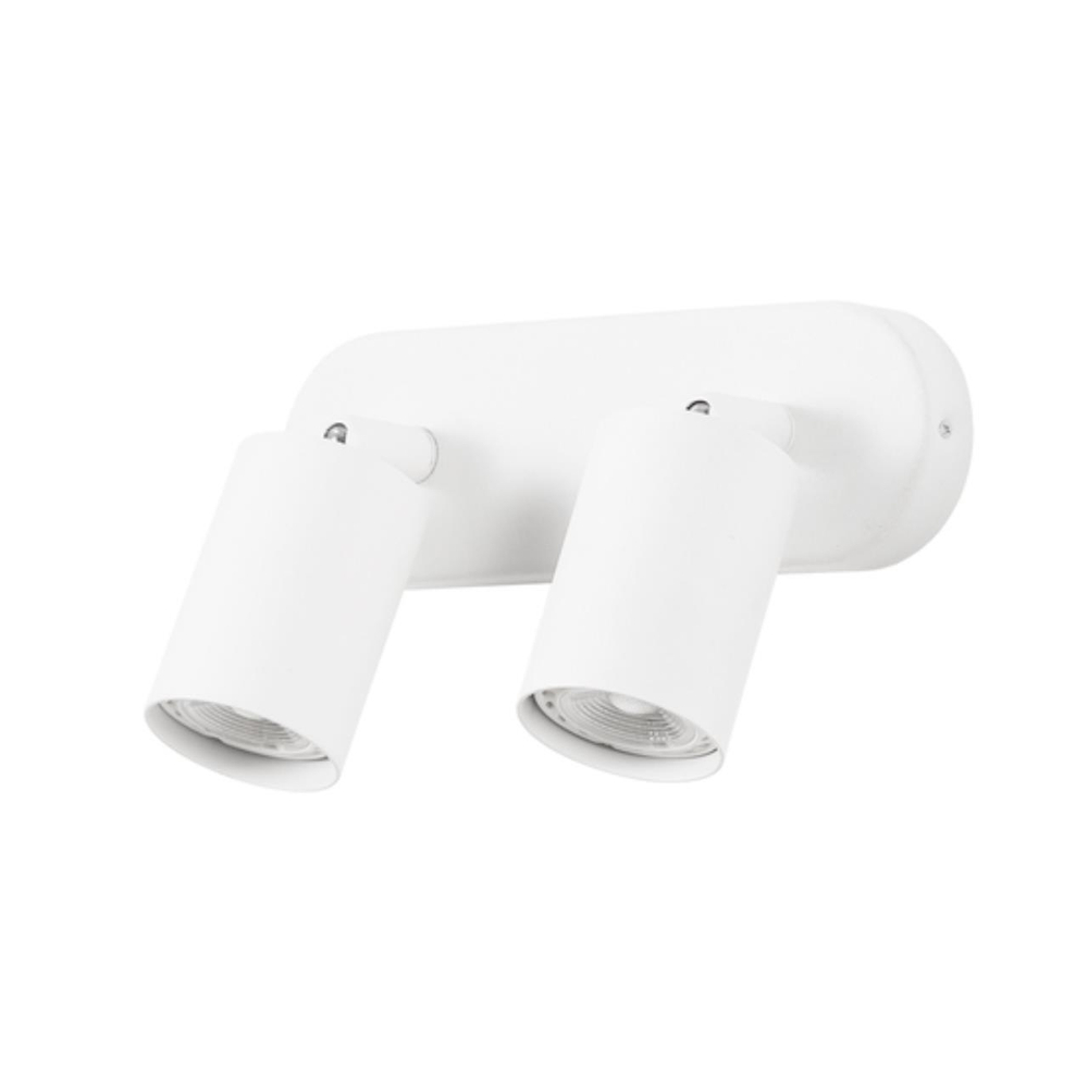 Настенно-потолочный светильник Arte Lamp AQUARIUS A3226PL-2WH