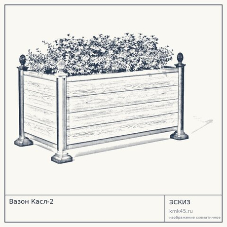 Вазон Касл-2