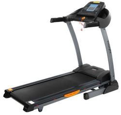 VictoryFit VF-2004