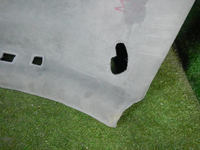 DSCN1173.JPG