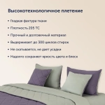 Покрывало + наволочка БайКолор Фиалка/Шалфей