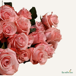 Фон карточки (10).png