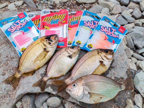 Черви съедобные искусственные LJ Salty Sensation SALT WORM 2.0in (05,00)/S31 12шт.