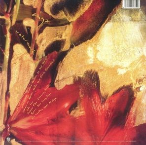 Enya / Watermark (LP)