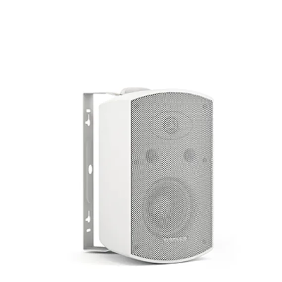 CVGAUDIO RF416TW настенная акустическая система