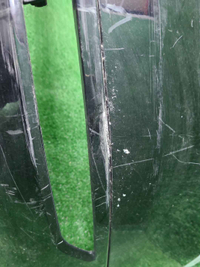 IMG_20260913_120204.JPG