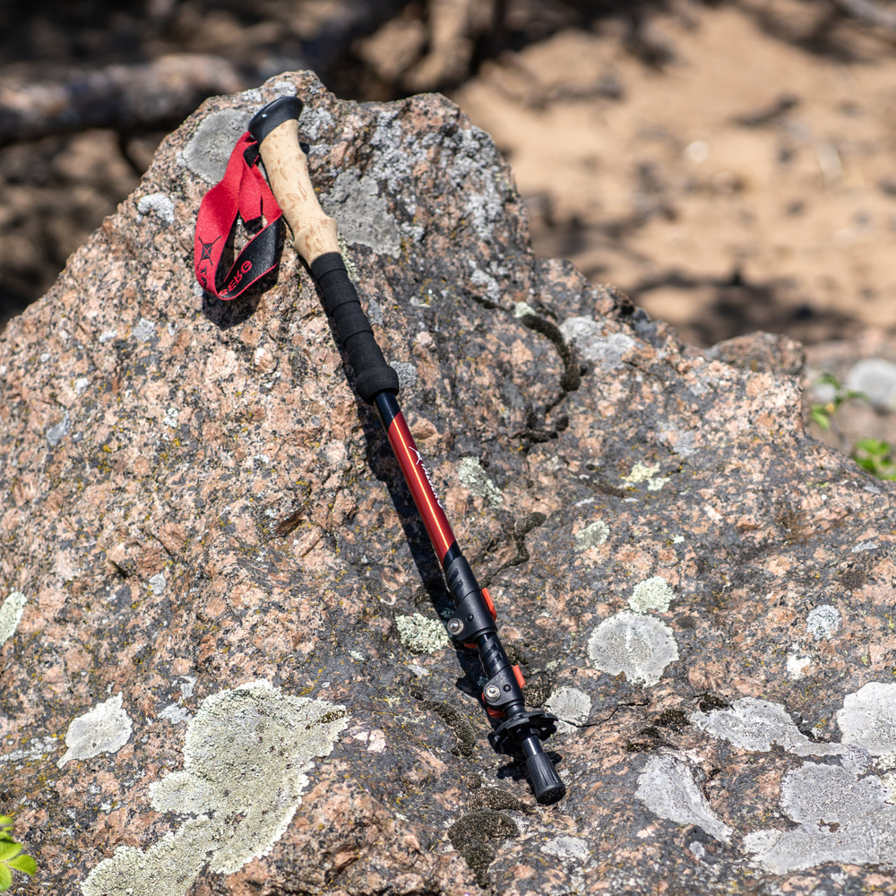 ПАЛКИ ТРЕККИНГОВЫЕ TALBERG SHERPA POLE