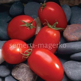 Томат Мариана F1  1000 (семян)