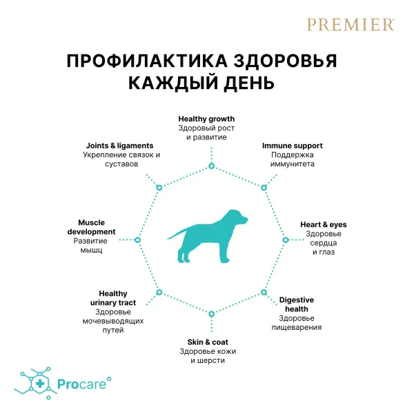 Сухой корм Premier Dog Turkey Junior Medium&Maxi для юниоров средних и крупных пород из свежего мяса индейки