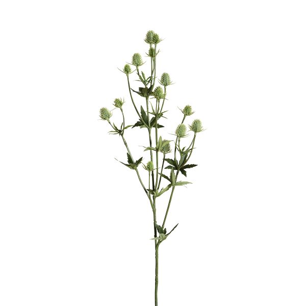Веточка декоративная Fiebiger Floristik: Чертополох l=83 см, светло-зеленый, пластик