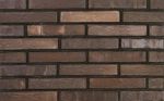 Кирпич клинкерный Plinfa Iron 2803, 270x85x50
