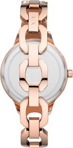 Наручные часы Armani Exchange AX5613