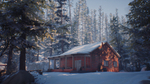 Life is Strange 2: полное издание