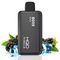 HQD MIRACLE 8000 - Black Ice (5% nic)