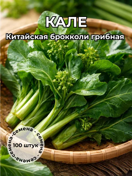 Кале китайская брокколи грибная — семена, 100 шт.