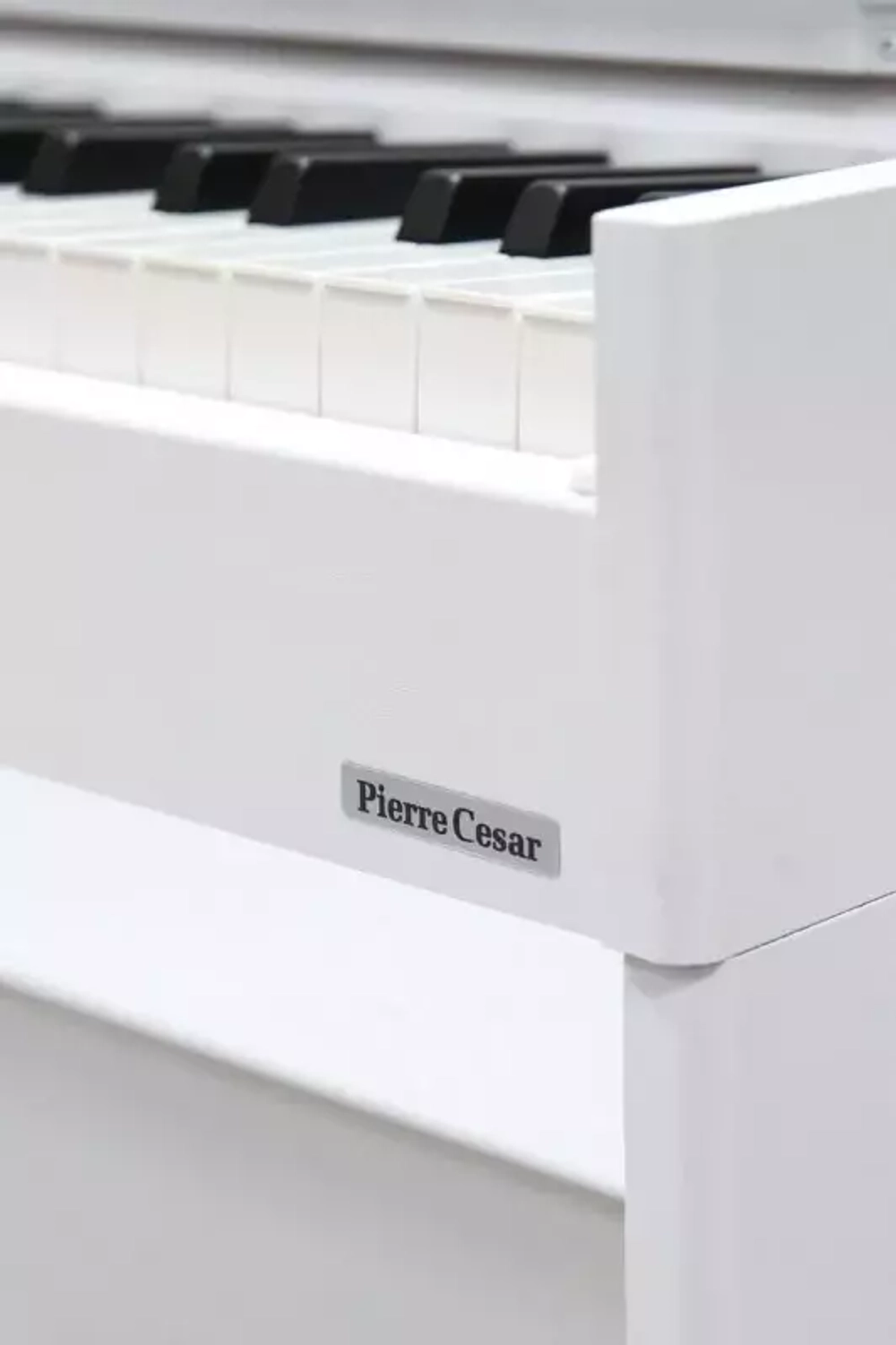 Pierre Cesar DP-17-H
